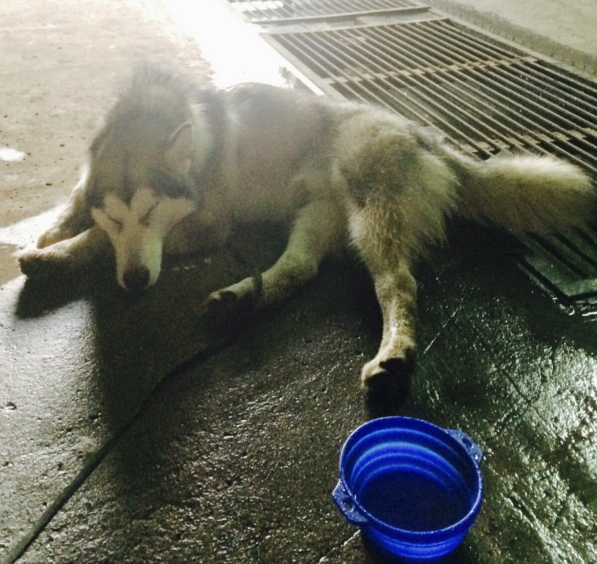 Охлаждаемся