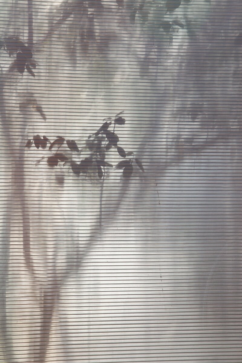 Все права на размещённые здесь фотографии принадлежат мне.