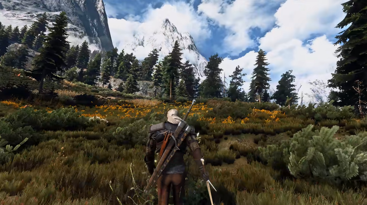 The Witcher (Ведьмак)