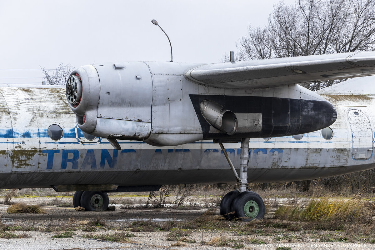 люки и капоты ан-24. история ан. ан-22 антей ранний. ан-24 пассажирский самолёт. ан-8 военно-транспортный самолёт.