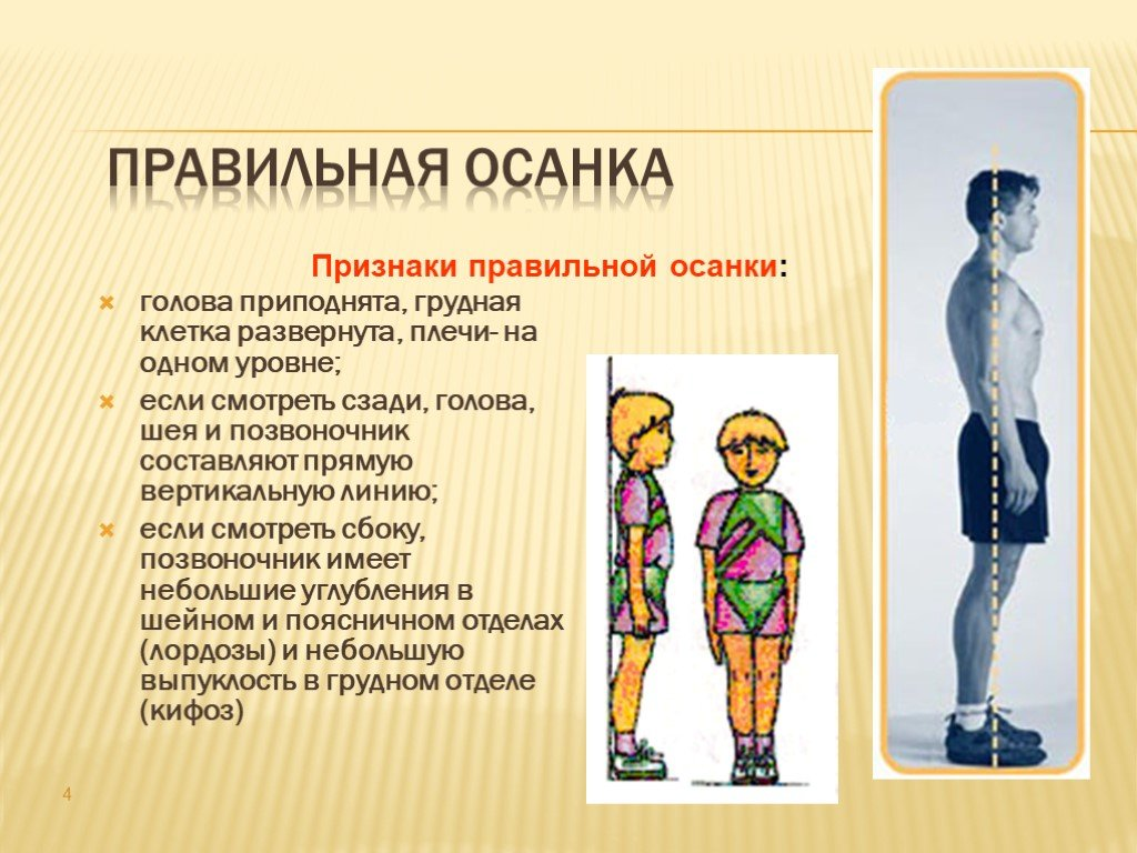 Картинки про осанку для школьников - Арт Минск.ру