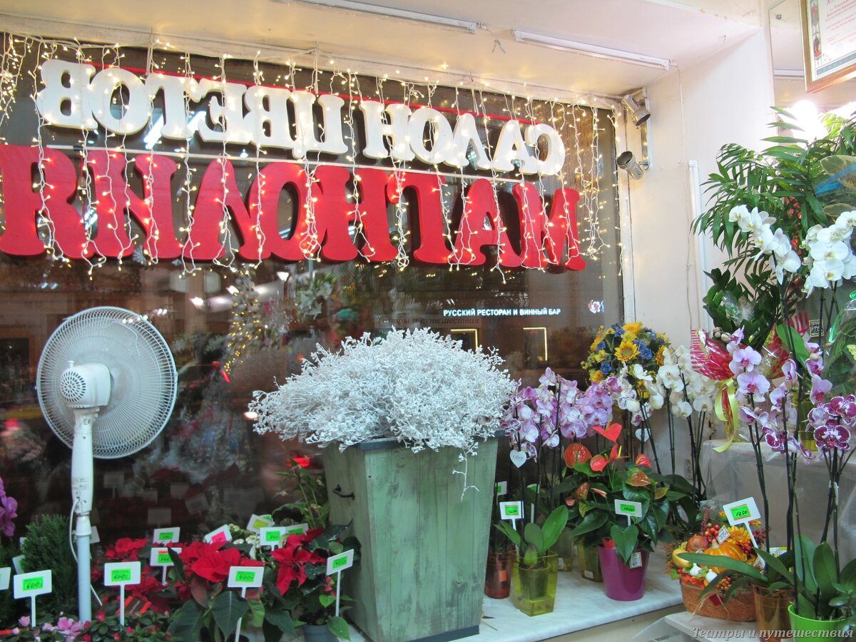 Салон цветов "Магнолия", улица Глинки 3-5-7