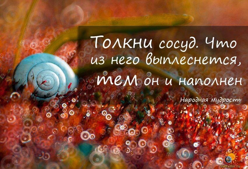 Фото из открытых источников Яндекса