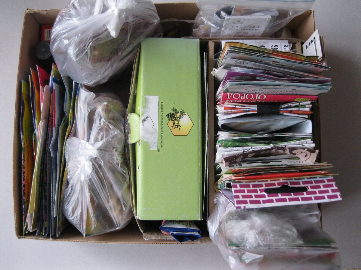 Периодически перебираю разные семена, это повышает настроение.