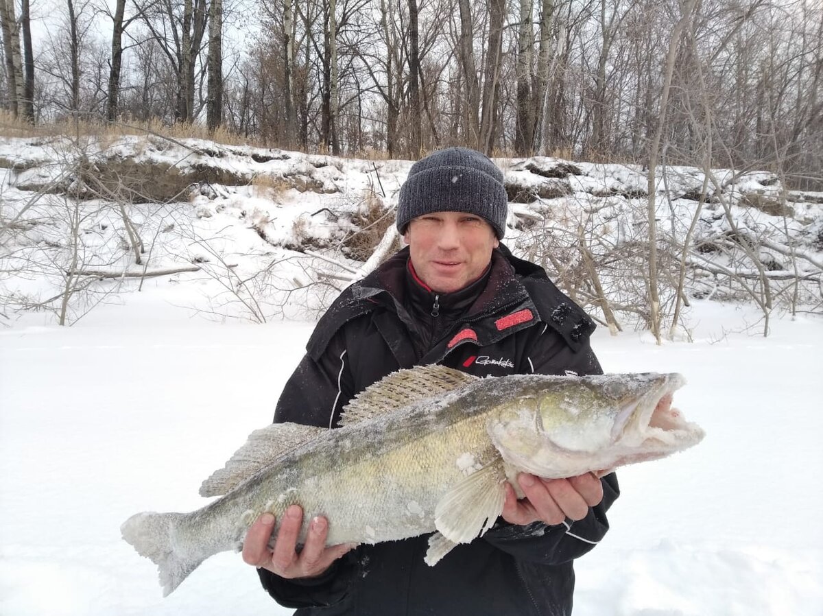 Фото Володи. Судак на четыре килограмма.