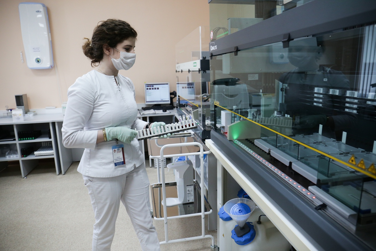 Фото: Ростислав Нетисов, nsknews.info