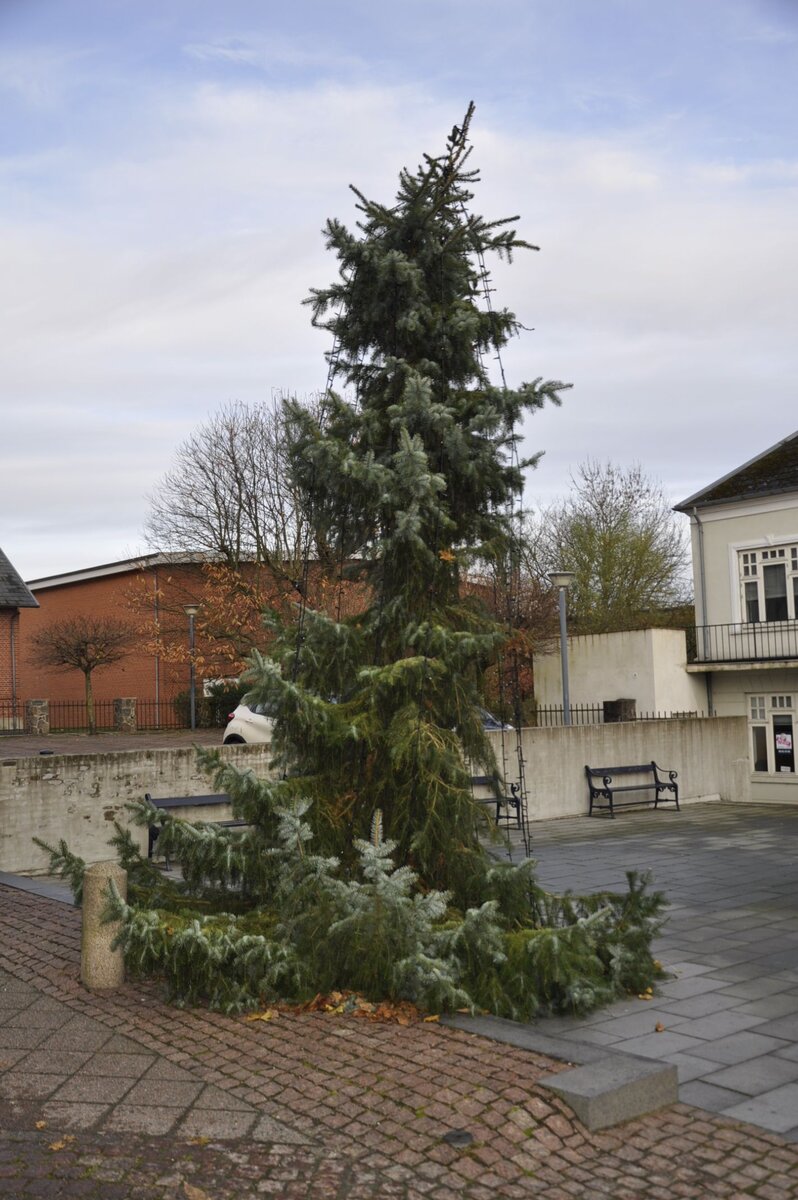 Новогодняя ёлка в городе Орс. Интересно, что думали те, кто её вырубал?