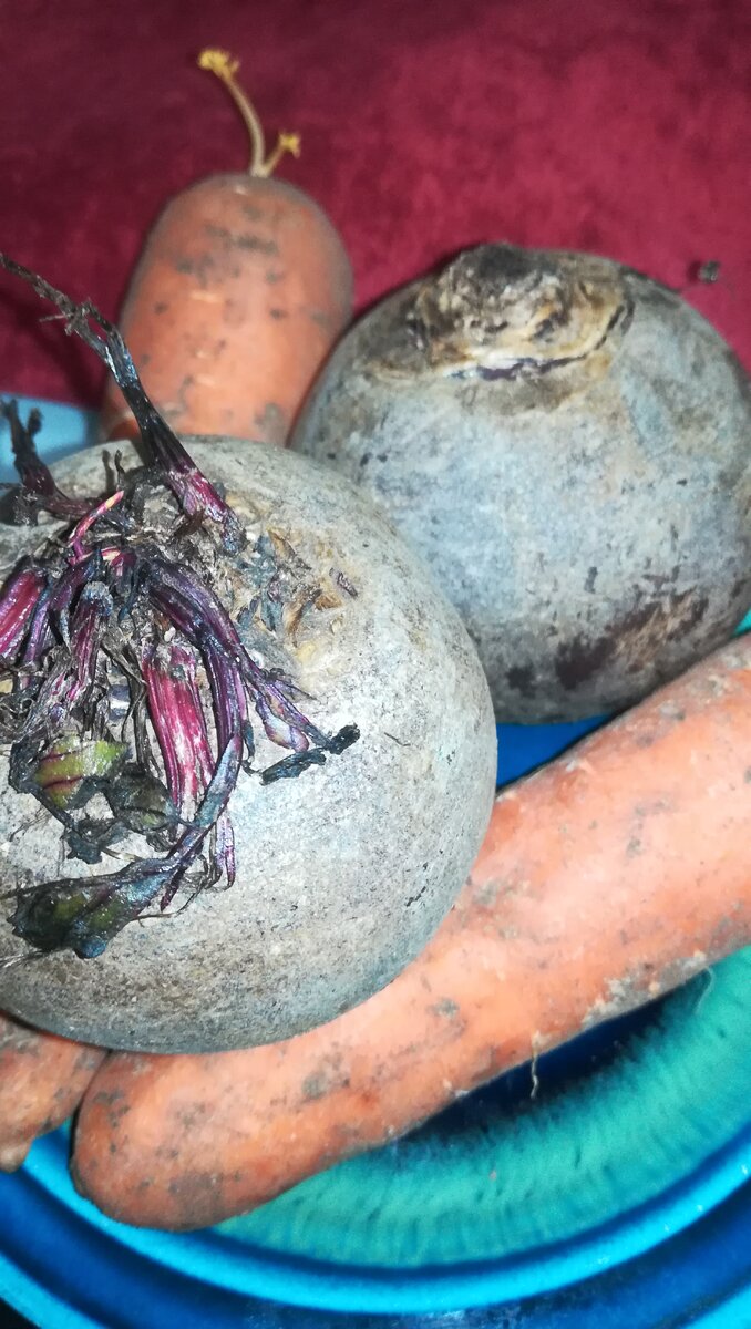 Скоро пойдут в салатик