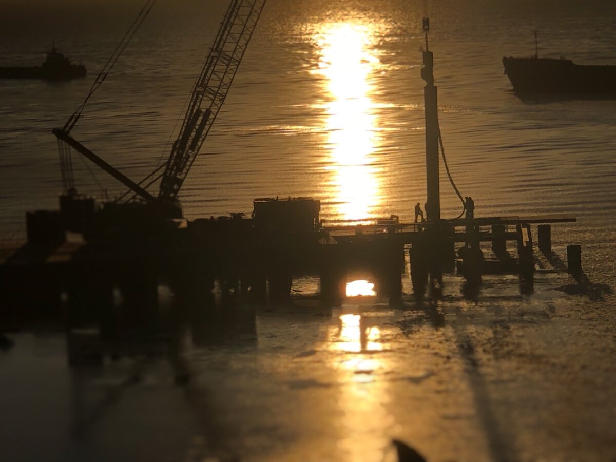 Фото - Полит-Профит