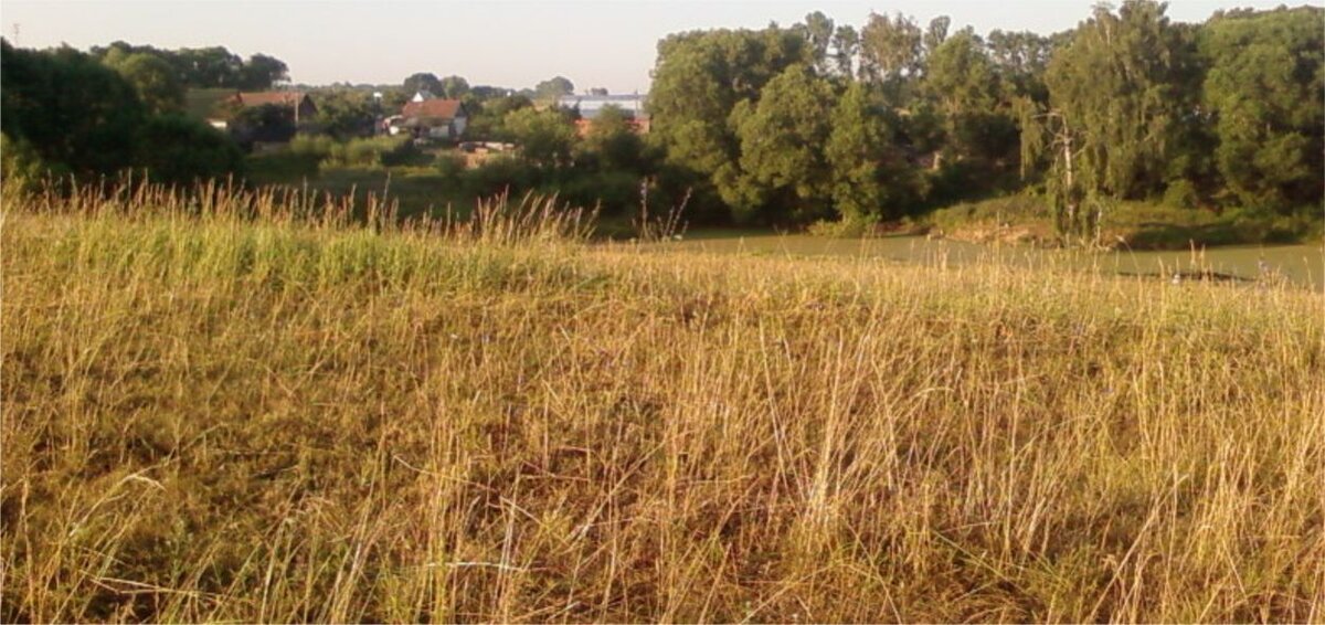 Деревенские просторы. Фото автора