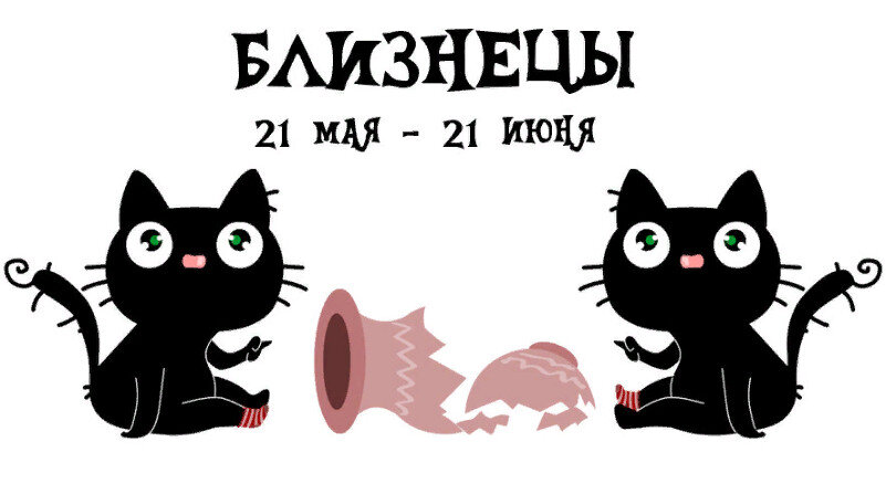 Картинка из интернета