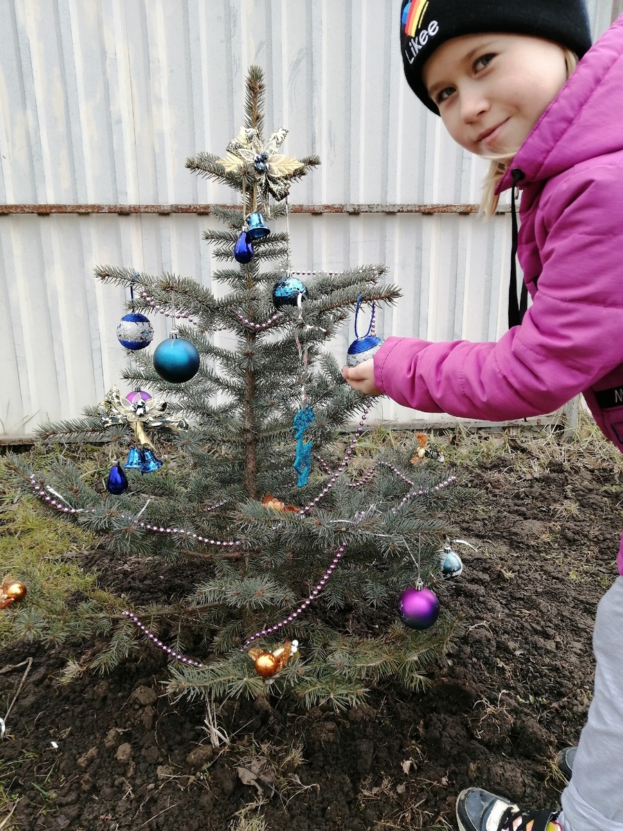 Даже маленькие ёлочки украшены