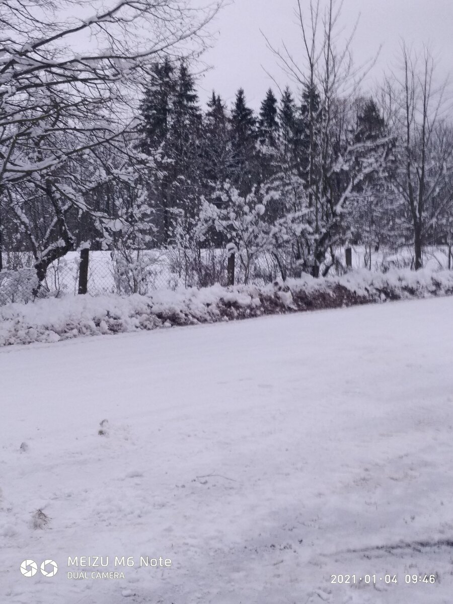 Январь ,снегом все замело,такой снежной зимы не бывало давно...