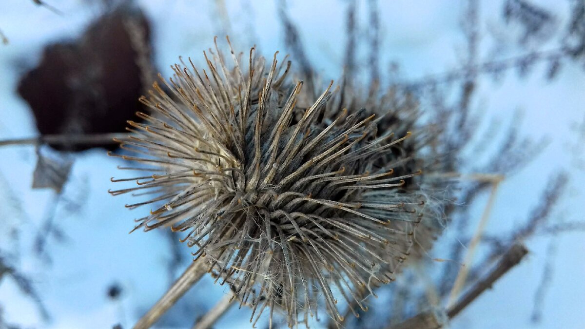 Всё что происходит в нашей жизни, мы выбираем сами. Удерживать или отпускать какие-то привычки, это тоже наш выбор. Для того чтобы произошли качественные изменения, важно признать наличие проблемы. После этого появится план её решения. 