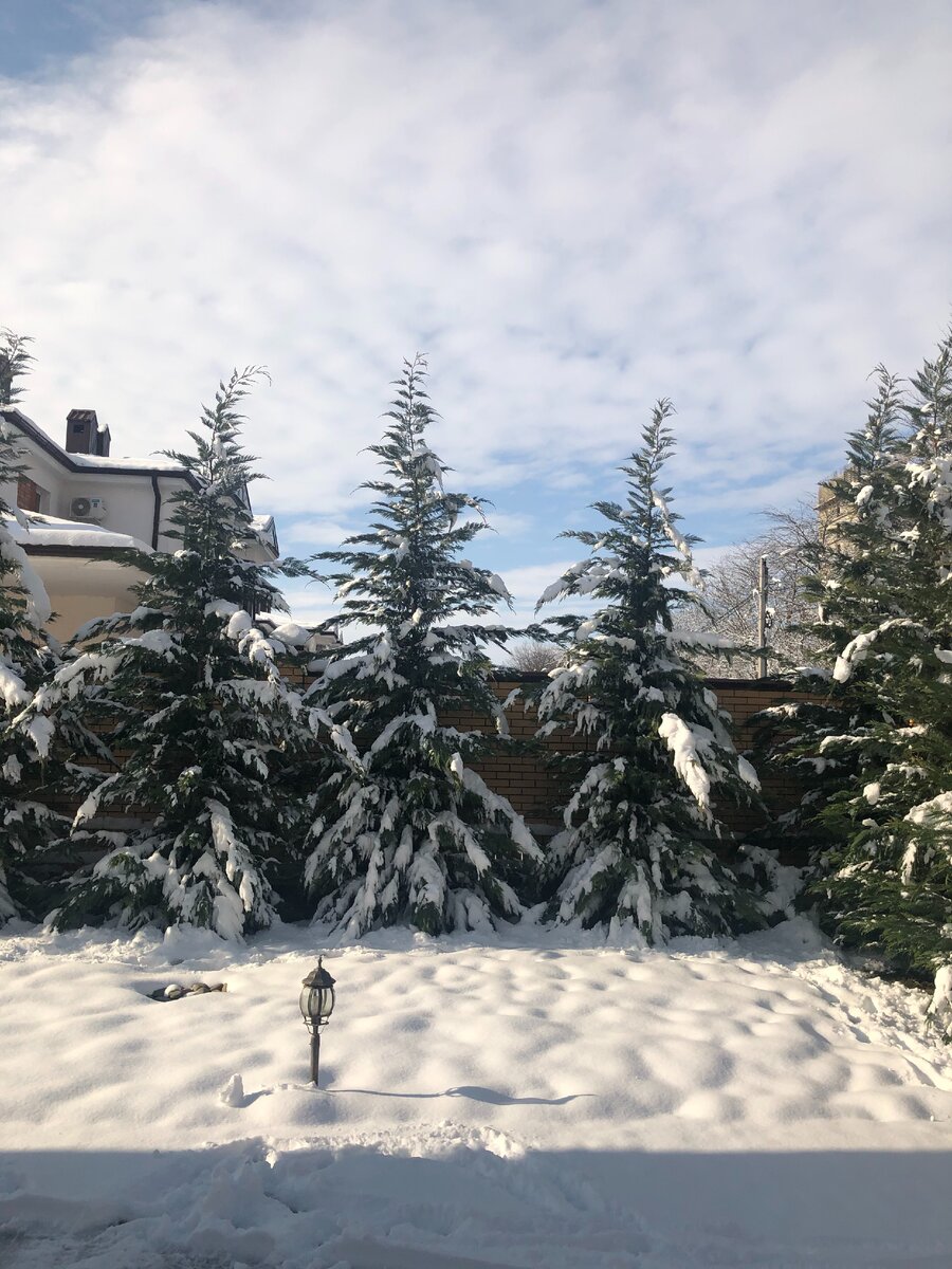 Без преувеличения, снега за ночь выпало по колено.