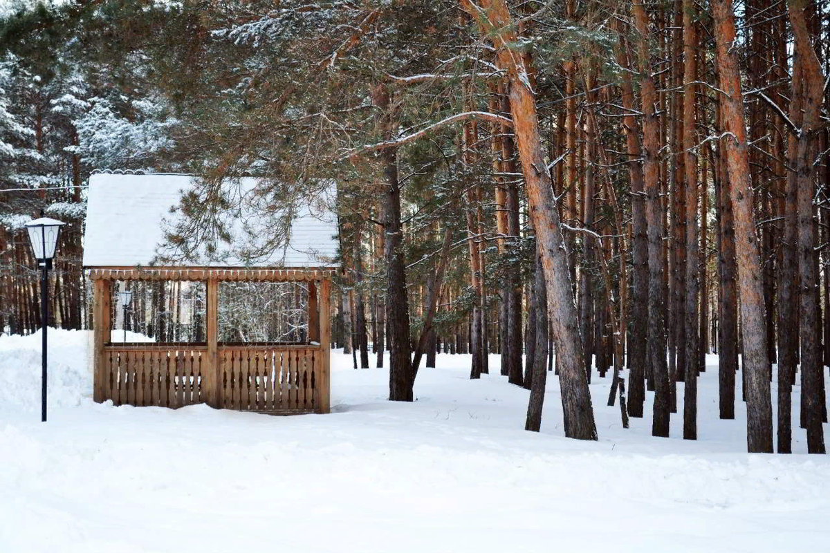Алатырь отдых. Отдых в алатыре. Алатырь база отдыха горный алтай. Зеленая долина алатырь база отдыха. Лагерь алатырь в мордовии.