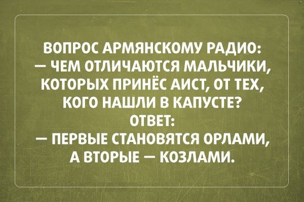 Смешные картинки про армян