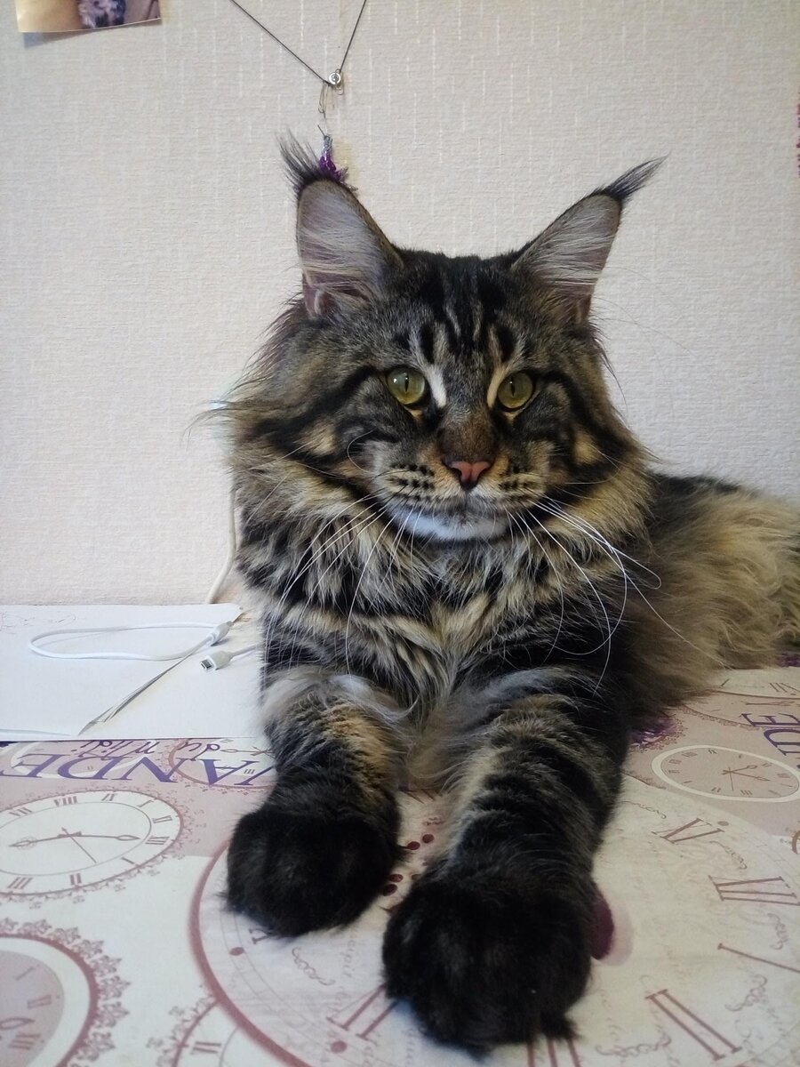 Нам 1,5 года. 