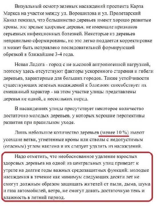 Независимое заключение специалистов о деревьях у Гостиного двора Новой Ладоги. Источник: ВК-группа "Новая Ладога"
