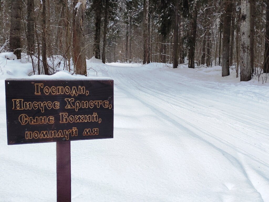 Вновь поехать. Ходить по лыжне запрещено. Картинки ходить по лыжне запрещено. Лыжня зовет картинки прикольные.