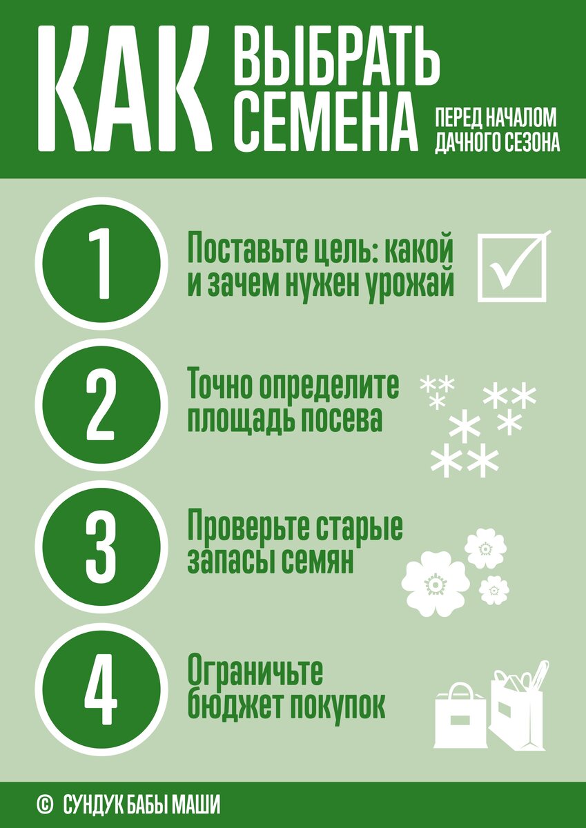 Инфографика: vgsoloviev.com
