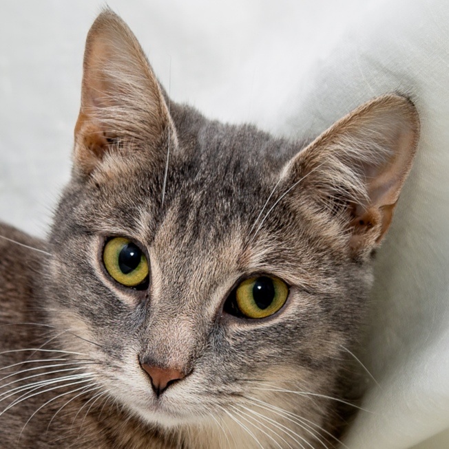 Глаза будто подведены подводкой... 