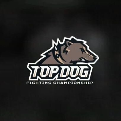 Эмблема организации