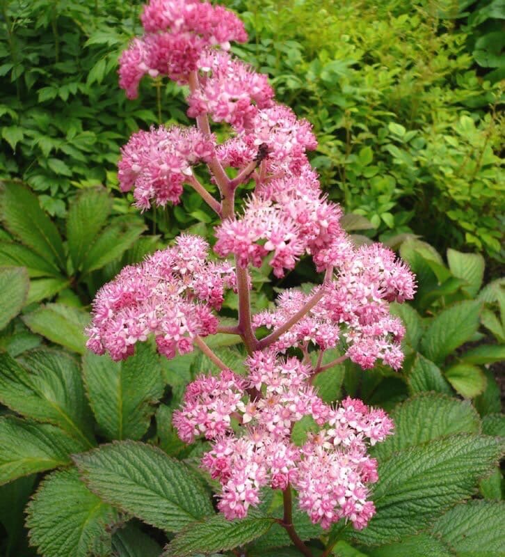 Это фото не моё