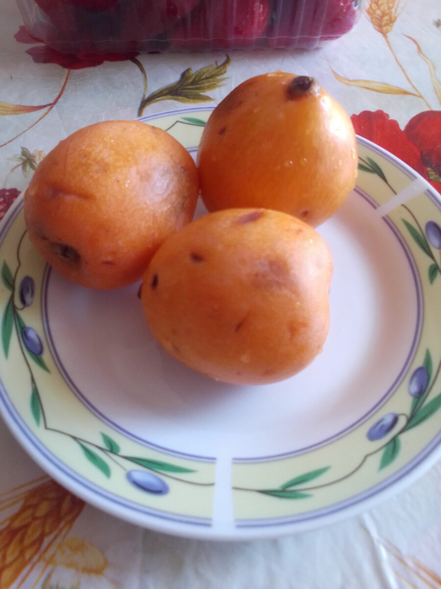 Мушмула