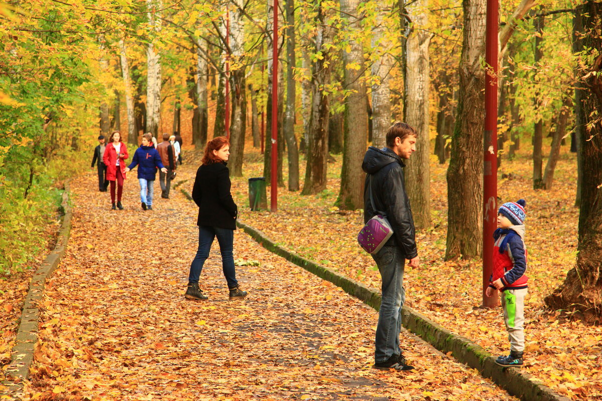 Погуляем осень погуляем. Прогулка в осеннем парке. Прогулка в парке. Прогулка по осеннему парку. Осень в парке.