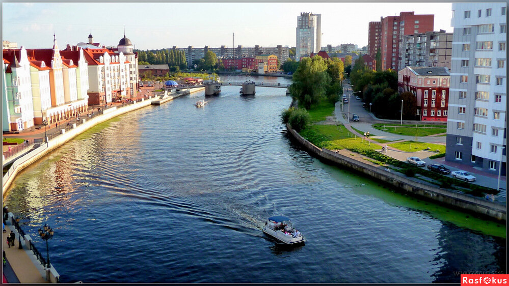Река преголя калининградская область фото