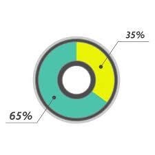 Собственники бизнеса-65%, наемные сотрудники (гл.бухгалтер, бухгалтер, топ-менеджер, директор)-35%