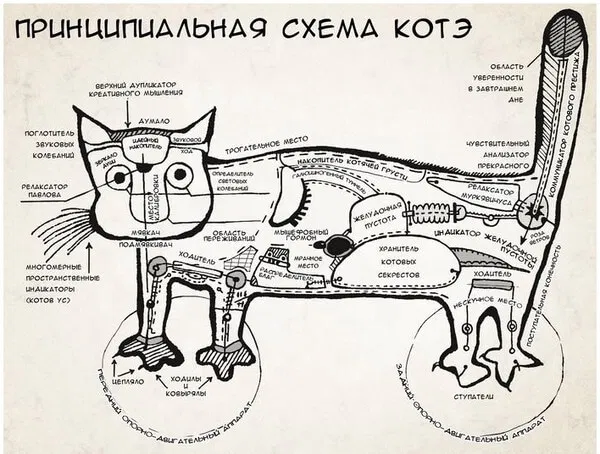 Почему кошки мурчат