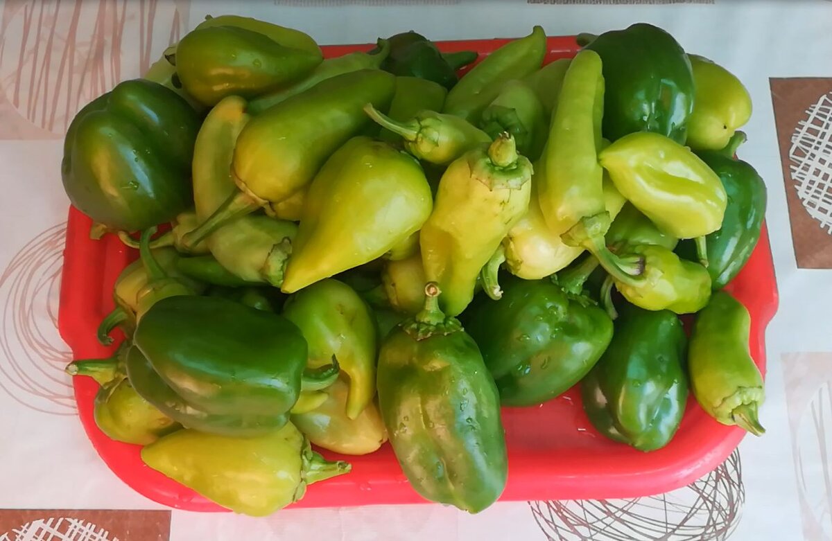 Некондиционная продукция болгарского перца