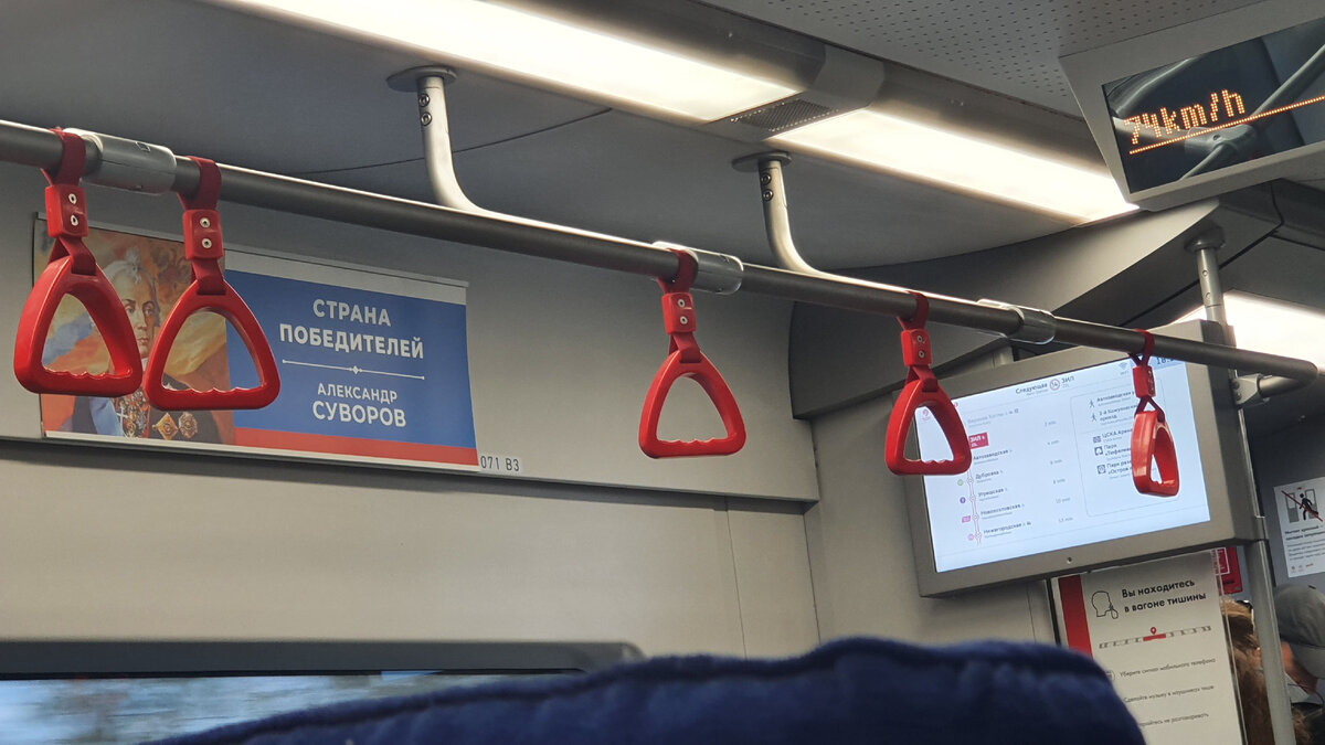 Сегодня сфотографировал
