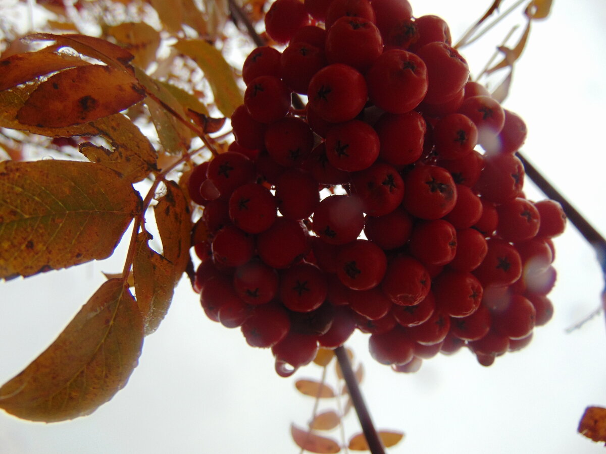 Фото автора канала