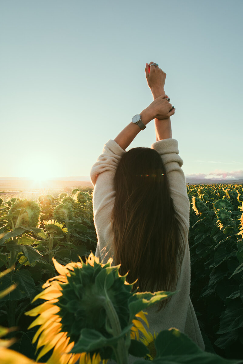 Фото с бесплатного источника Unsplash