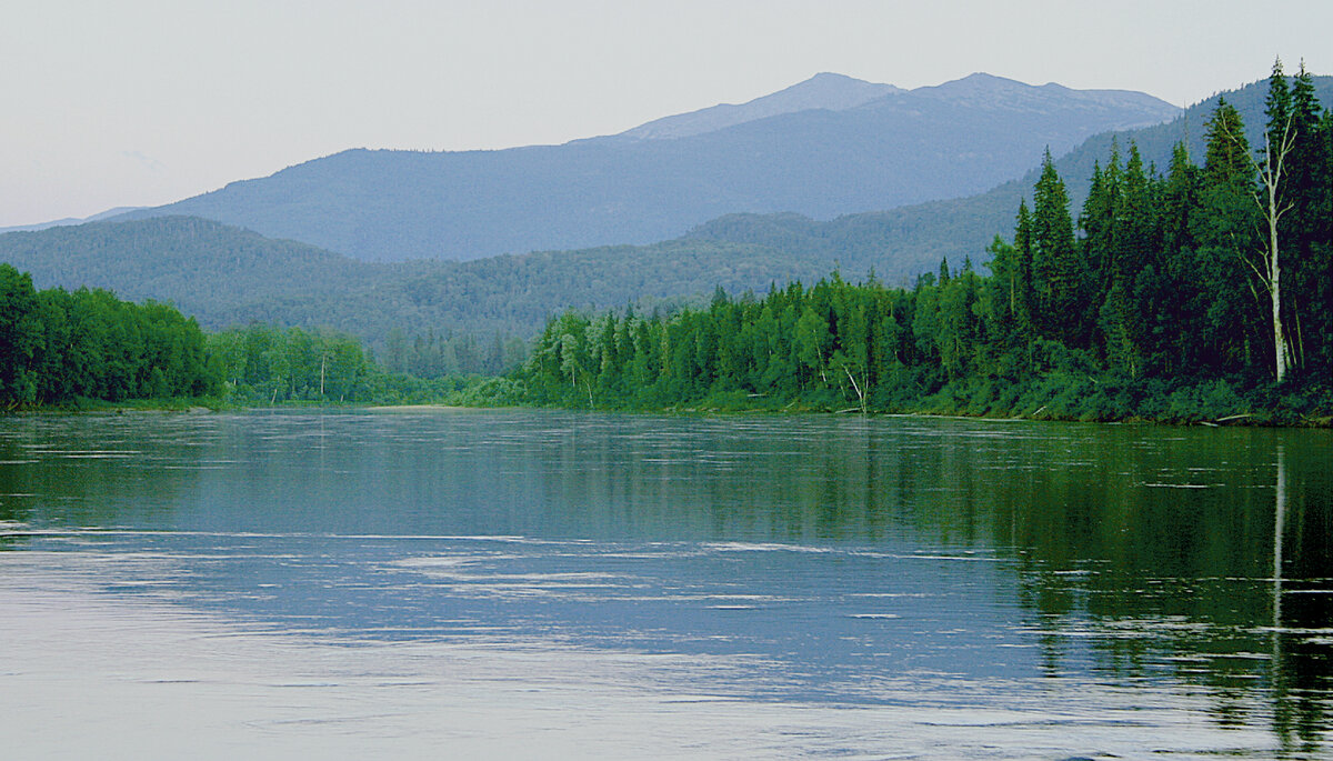 Фотография, стихотворение Василия Глуцкого