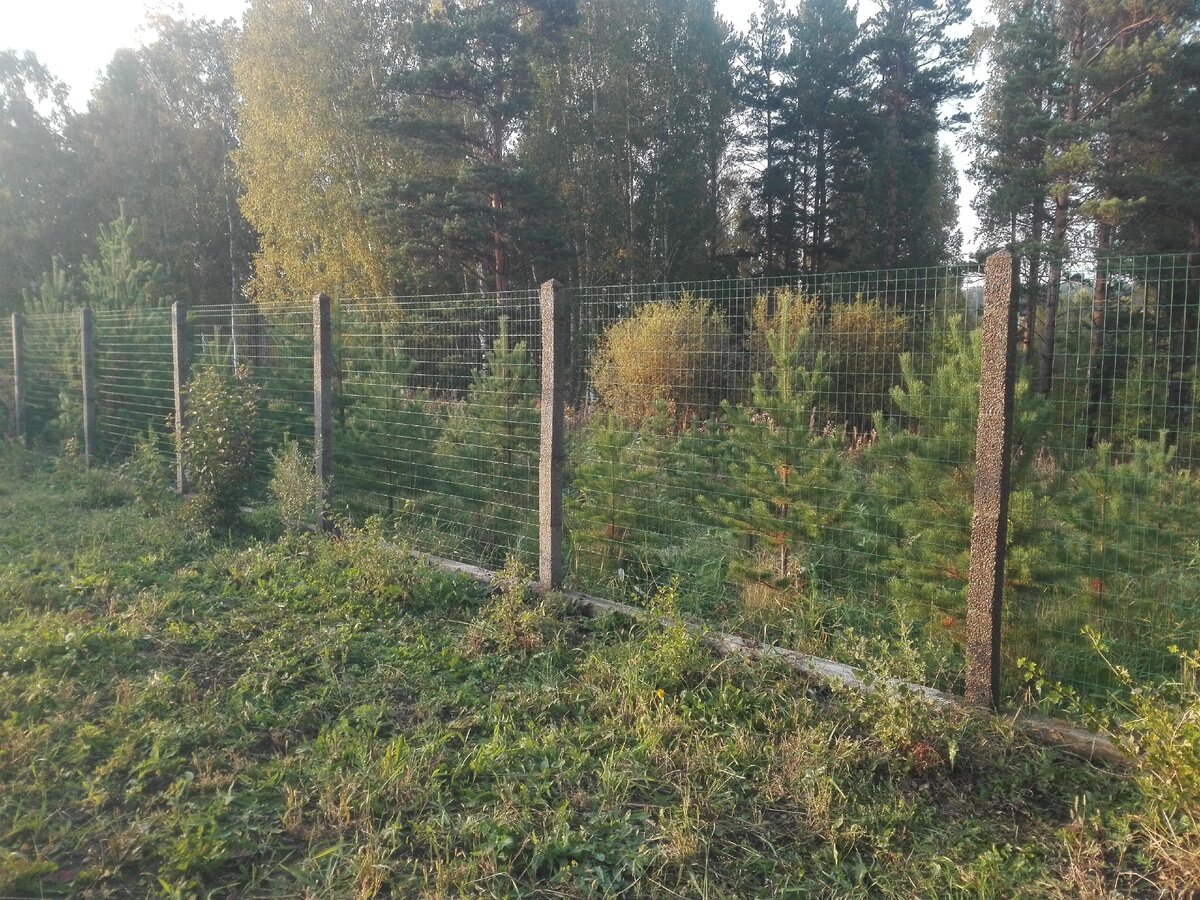Почему строят заборы лицевой стороной к соседям. Ответы читателей и опрос мнений с результатами1