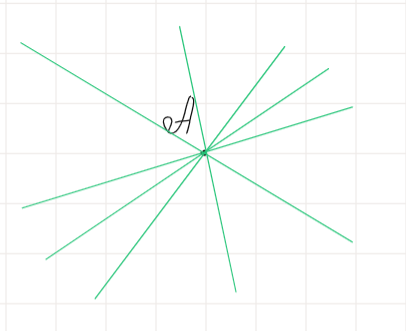 Через любую точку проходит множество прямых.