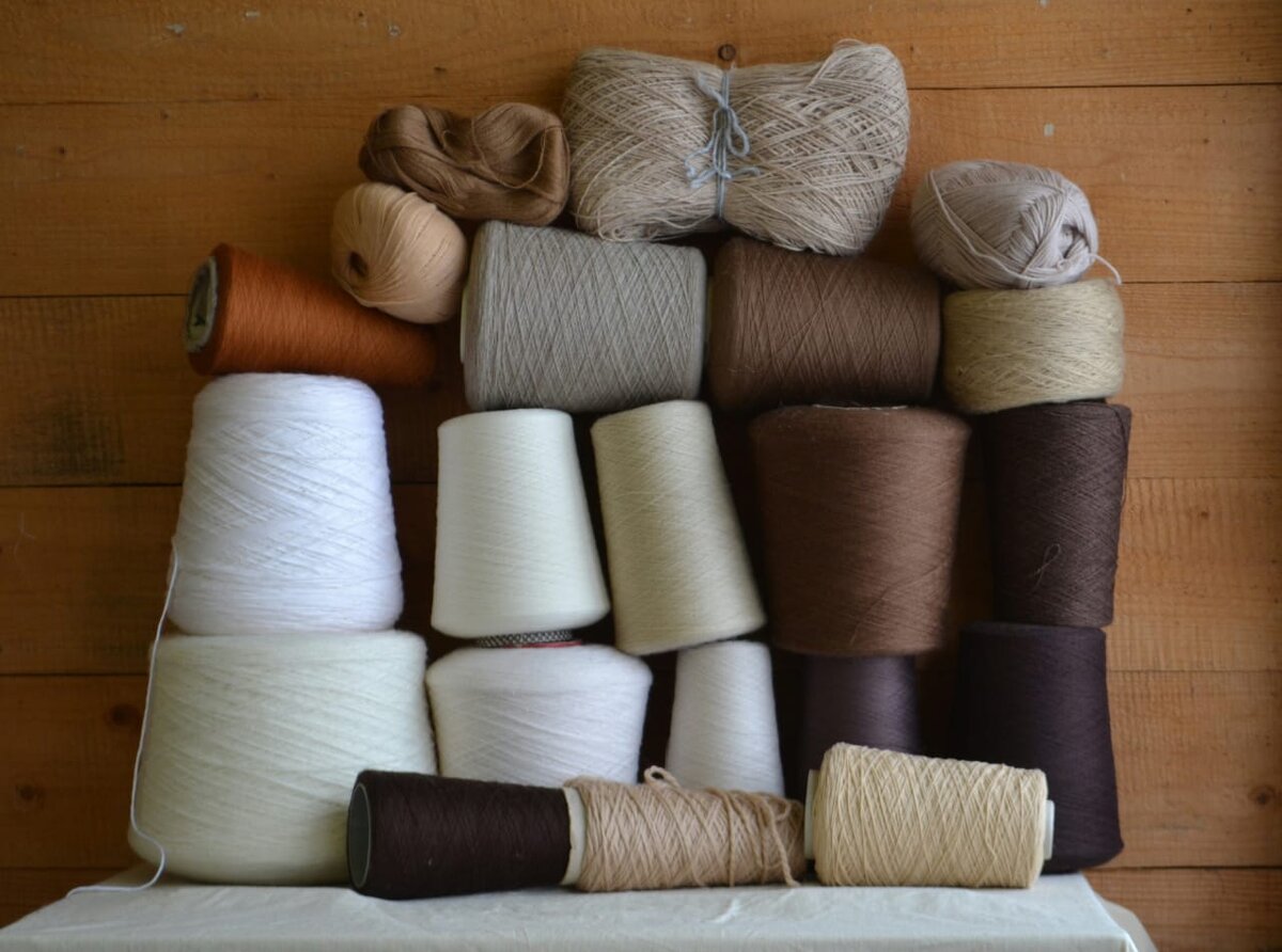 Фото из личного архива 