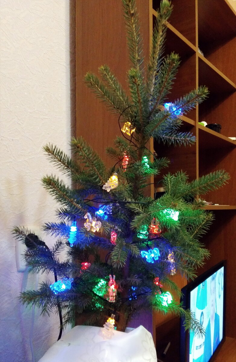 Фото Анастасии Петровой