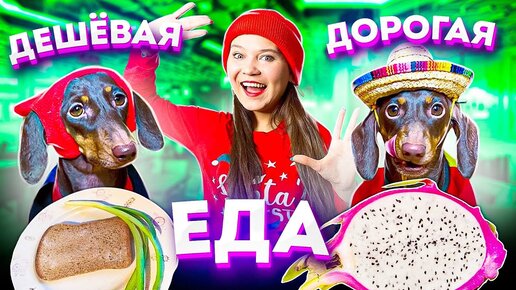 ДОРОГАЯ VS ДЕШЕВАЯ ЕДА II ЧТО ПОНРАВИТСЯ  БОЛЬШЕ?