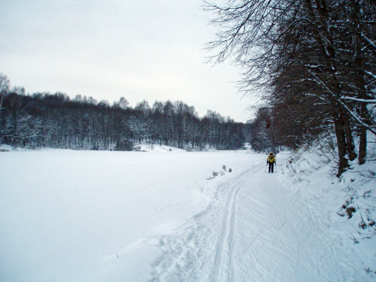 Леса под Нижним Новгородом