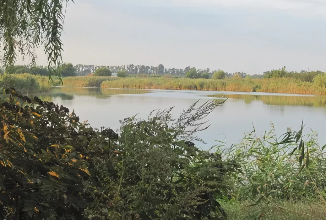 maam.ru. Фото с Яндекса. Река.