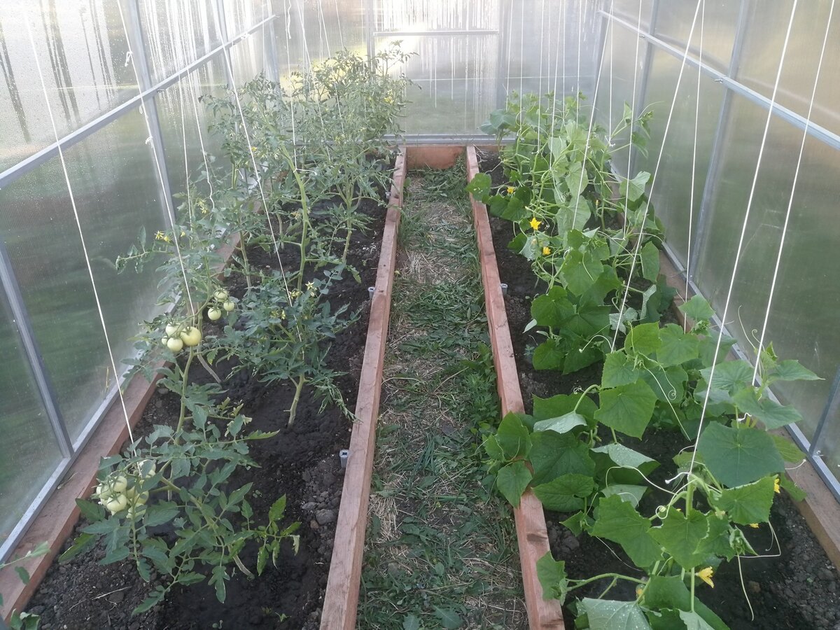 Пресс-служба администрации города