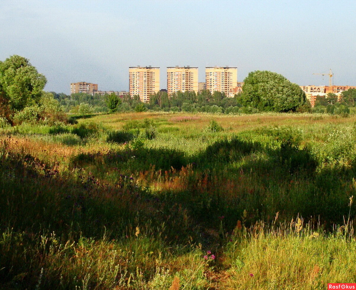 Пустырь. Городской пустырь. Пустырь в городе. Поле пустырь.