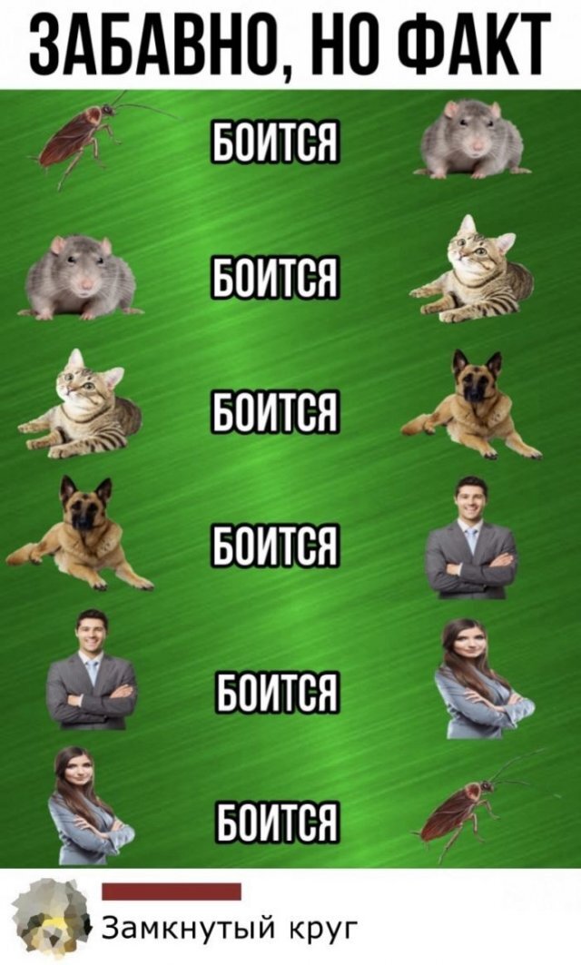 Забавно, но факт