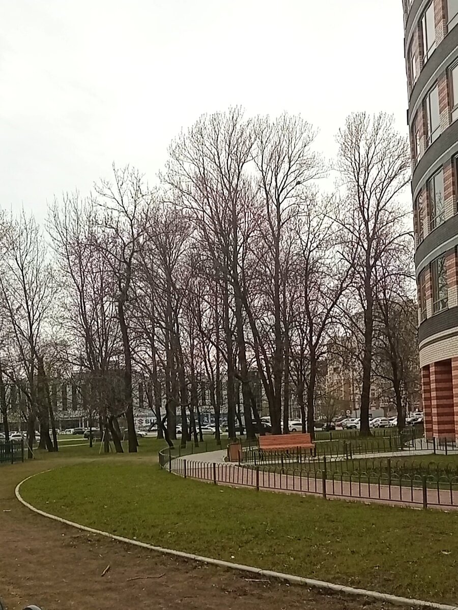 В моём детстве здесь была вечная грязь