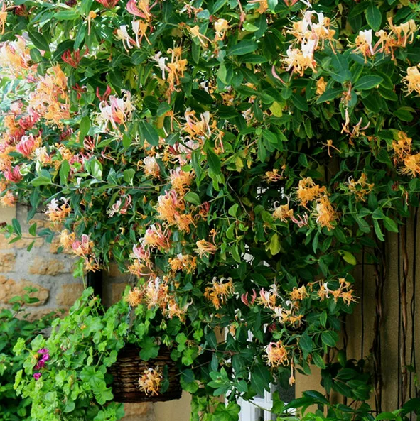 Фотография взята из источника fb.ru